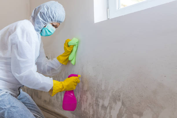 Best Mold Documentation for Insurance Claims  in Glenn Heights, TX