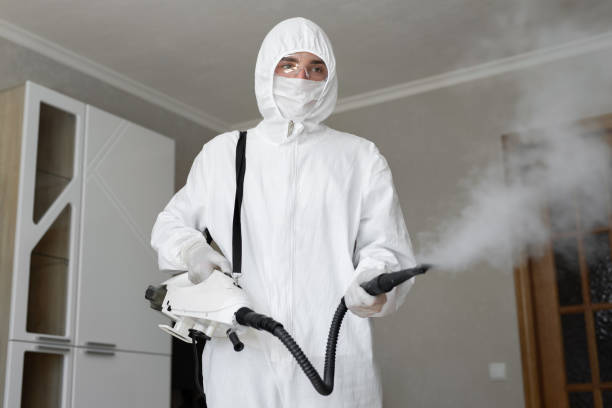 Mold Removal for HVAC Installations in Glenn Heights, TX